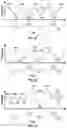 Fig. 12 - Pressure exchanger pressure oscillation source