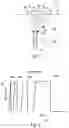 Fig. 02 - Injection Wells
