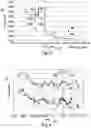 Fig. 03 - Injection Wells