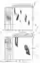 Fig. 10 - Cement bonding evaluation with a sonic-logging-while-drilling tool