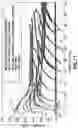 Fig. 12 - Methods for characterizing multi-string cased wells using wide frequency bandwidth signals