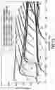 Fig. 14 - Methods for characterizing multi-string cased wells using wide frequency bandwidth signals