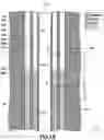 Fig. 19 - Methods for characterizing multi-string cased wells using wide frequency bandwidth signals