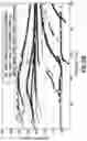 Fig. 29 - Methods for characterizing multi-string cased wells using wide frequency bandwidth signals