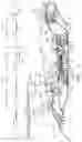 Fig. 02 - Component for a turbine engine with a hollow pin