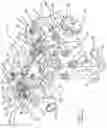Fig. 02 - Heavy duty variable valve actuation