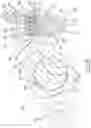 Fig. 11 - Heavy duty variable valve actuation