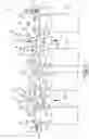 Fig. 05 - SLIDING CAMSHAFT ASSEMBLY