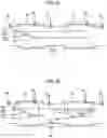 Fig. 04 - Exhaust purification system of internal combustion engine