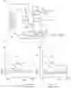 Fig. 01 - High efficiency turbocharger with EGR system