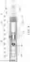 Fig. 05 - Multifunctional air extraction boosting pump