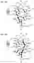 Fig. 05 - Hydraulic circuit of driving device for vehicle