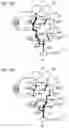 Fig. 06 - Hydraulic circuit of driving device for vehicle
