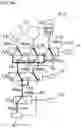 Fig. 12 - Hydraulic circuit of driving device for vehicle