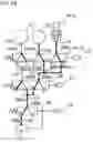 Fig. 13 - Hydraulic circuit of driving device for vehicle