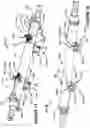 Fig. 09 - BRAKE COMPONENT MOUNTING STRUCTURE FOR AXLES
