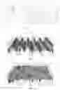 Fig. 03 - Ferrous workpiece and method of manufacture