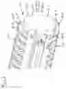 Fig. 06 - Spindle drive