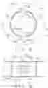 Fig. 03 - Fluoroplastic butterfly valve structure