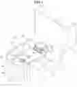 Fig. 02 - LED lamp apparatus for vehicle