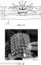 Fig. 20 - Decoration device, method for using light emitting device, and vehicle