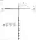 Fig. 07 - Reticles, methods of use and manufacture