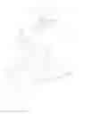 Fig. 04 - Archery projectile