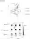 Fig. 18 - Distribution measuring sensor, distribution measuring sensor system, distribution measuring program, and recording medium