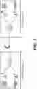 Fig. 08 - Optical time-domain reflectometer device including multiple and bi-directional optical testing for fiber analysis