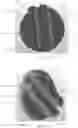 Fig. 22 - Systems, devices and methods for testing substrates to evaluate wound closure products