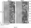 Fig. 10 - Fiber and bundle orientations, matrix rich regions, and mechanical properties of fiber reinforced composites using thermal digital image correlation