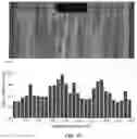 Fig. 12 - Fiber and bundle orientations, matrix rich regions, and mechanical properties of fiber reinforced composites using thermal digital image correlation
