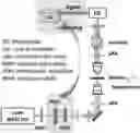 Fig. 01 - Method of phase contrasting
