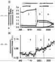 Fig. 02 - Systems and processes for early detection of biological ammonia oxidation in water using fluorometry