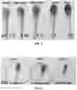 Fig. 03 - PH indicator swabs for biomonitoring and diagnostics