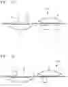 Fig. 14 - Image inspection device
