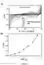 Fig. 05 - Highly sensitive biomarker biosensors based on organic electrochemical transistors