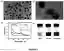 Fig. 10 - Highly sensitive biomarker biosensors based on organic electrochemical transistors