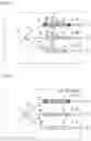 Fig. 04 - EXOSOME ANALYSIS METHOD, EXOSOME ANALYSIS CHIP, AND EXOSOME ANALYSIS DEVICE