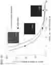 Fig. 10 - EXOSOME ANALYSIS METHOD, EXOSOME ANALYSIS CHIP, AND EXOSOME ANALYSIS DEVICE