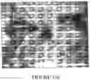 Fig. 33 - Enzyme-Amplified Redox Micoarray Detection Process