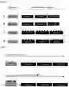 Fig. 06 - ELECTROCHEMICAL SENSORS AND METHODS OF USE THEREOF