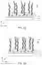 Fig. 04 - Nanoplasmonic sensor and kit for biomolecule analysis, and method of analyzing biomolecule using the same
