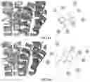 Fig. 07 - Methods and Systems for Modulating Hormones and Related Methods, Agents and Compositions