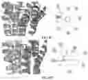 Fig. 08 - Methods and Systems for Modulating Hormones and Related Methods, Agents and Compositions