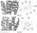 Fig. 09 - Methods and Systems for Modulating Hormones and Related Methods, Agents and Compositions