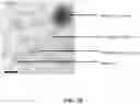 Fig. 05 - Bacteriophage-based electrochemical biosensor