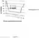 Fig. 04 - METHODS FOR PREVENTING, MODULATING AND/OR REDUCING CARDIOVASCULAR DISEASE