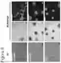 Fig. 09 - METHOD