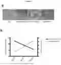 Fig. 06 - Biomarker of aging